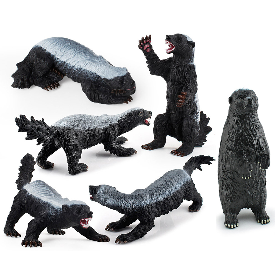 Kids Education Things - Realistic Honey Badger Model Simulation Wild