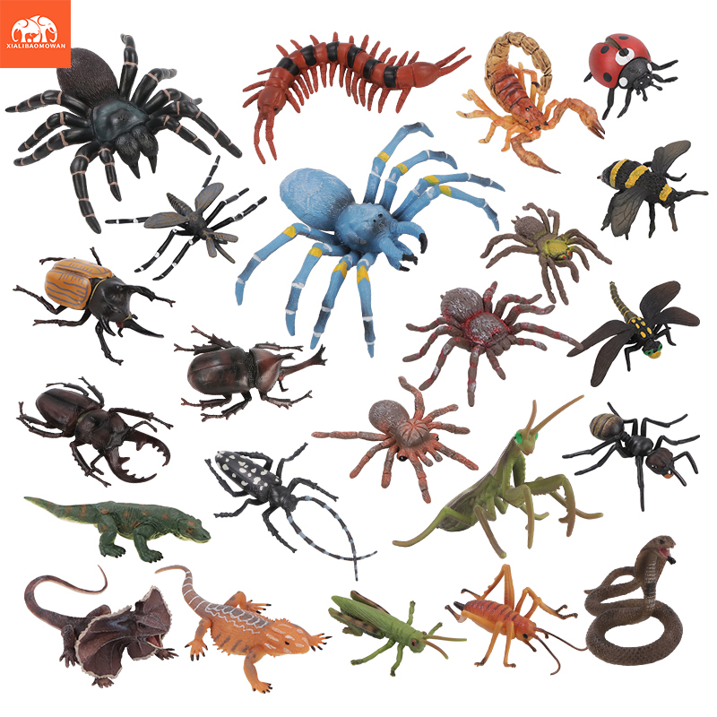 Kids Education Learning - Educational Simulation Insect & Wild Animal