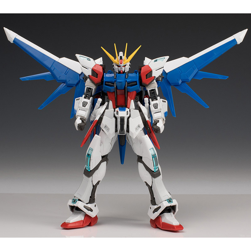 RG1/144 Build Strike Gundam Fu - огляд і ціна Bandai Model Gundam Rg