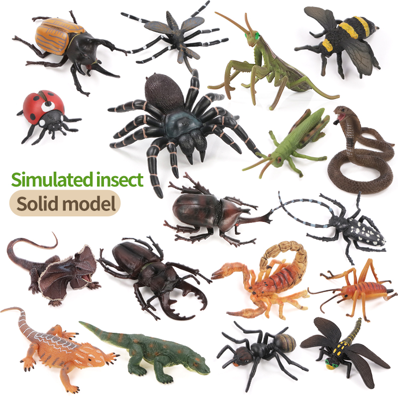 Educational Simulation Insect  - огляд і ціна Kids Education Learning